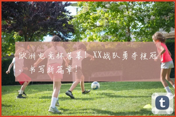 欧洲电竞杯落幕!XX战队勇夺桂冠,书写新篇章!
