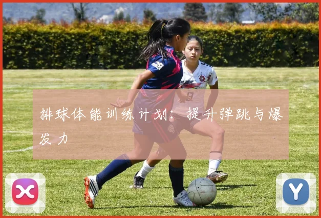 排球体能训练计划：提升弹跳与爆发力