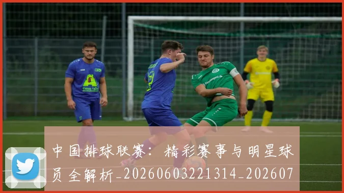 中国排球联赛：精彩赛事与明星球员全解析_20260603221314_20260703202727