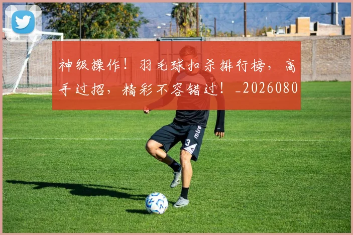 神级操作!羽毛球扣杀排行榜,高手过招,精彩不容错过!_20260802164529